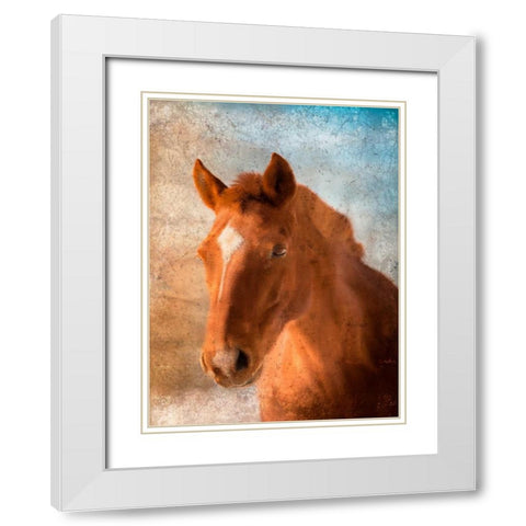 In Your Eyes White Modern Wood Framed Art Print with Double Matting by Allen, Kimberly