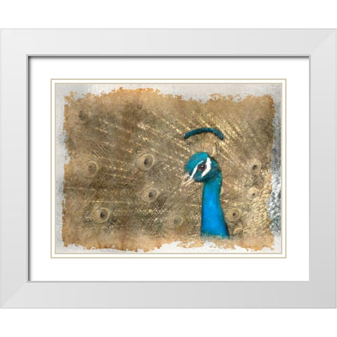 Antique Peaccock White Modern Wood Framed Art Print with Double Matting by Allen, Kimberly