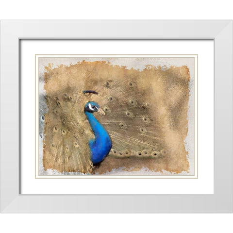 Antique Peackock 2 White Modern Wood Framed Art Print with Double Matting by Allen, Kimberly