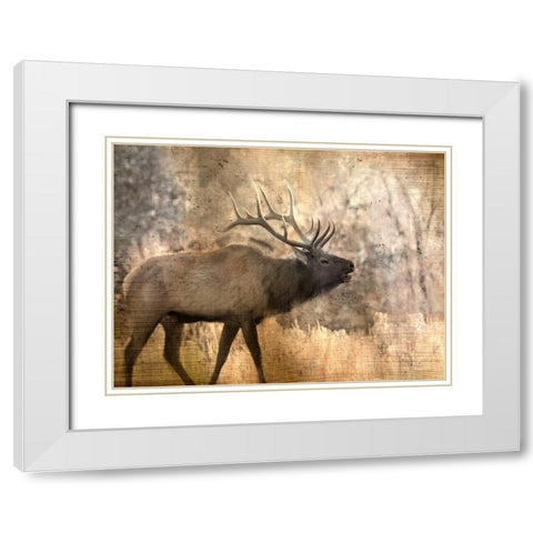 Morning Walk White Modern Wood Framed Art Print with Double Matting by Allen, Kimberly