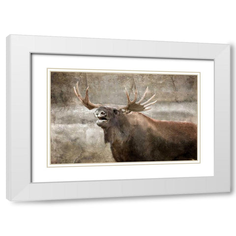 Winters Day White Modern Wood Framed Art Print with Double Matting by Allen, Kimberly