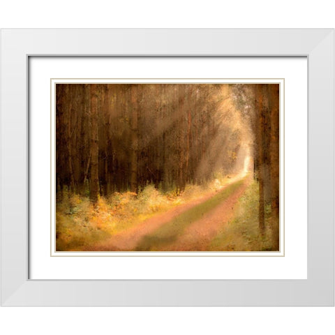 Road To Enlightenment White Modern Wood Framed Art Print with Double Matting by Allen, Kimberly