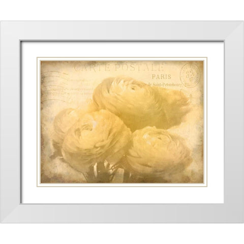 Ranunkeln Blooms White Modern Wood Framed Art Print with Double Matting by Allen, Kimberly