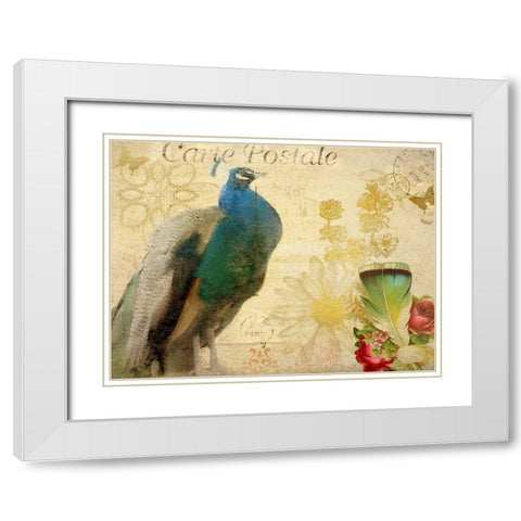 Postcard Peacock White Modern Wood Framed Art Print with Double Matting by Allen, Kimberly
