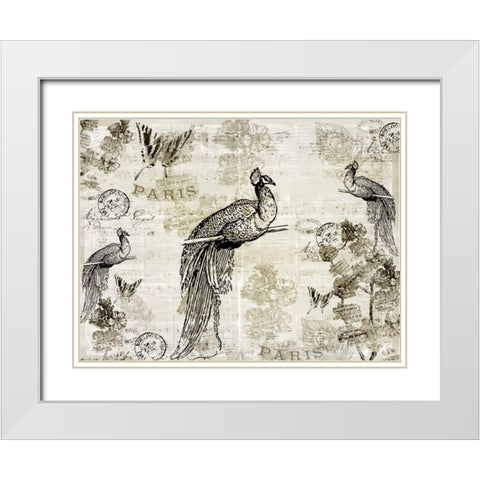 Music Notes Peacocks White Modern Wood Framed Art Print with Double Matting by Allen, Kimberly