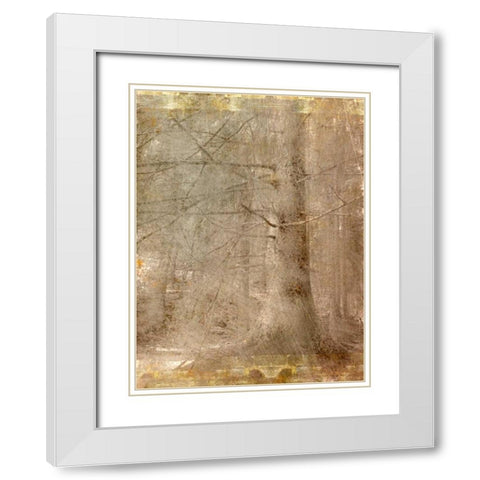 In the Forest White Modern Wood Framed Art Print with Double Matting by Allen, Kimberly