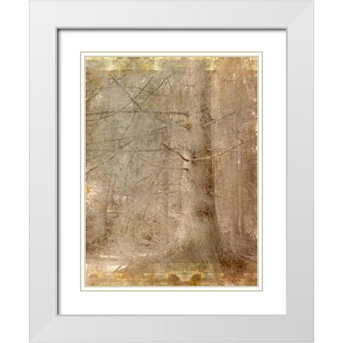 In the Forest White Modern Wood Framed Art Print with Double Matting by Allen, Kimberly