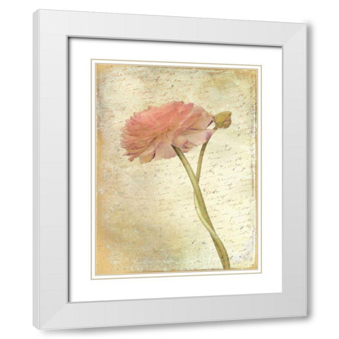 Ranunculus Bloom 2 White Modern Wood Framed Art Print with Double Matting by Allen, Kimberly