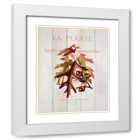 Fall Botanical 2 White Modern Wood Framed Art Print with Double Matting by Kimberly, Allen