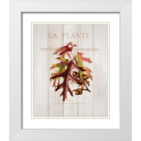 Fall Botanical 2 White Modern Wood Framed Art Print with Double Matting by Kimberly, Allen