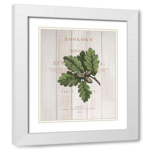 Fall Botanical 3 White Modern Wood Framed Art Print with Double Matting by Kimberly, Allen