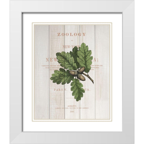 Fall Botanical 3 White Modern Wood Framed Art Print with Double Matting by Kimberly, Allen