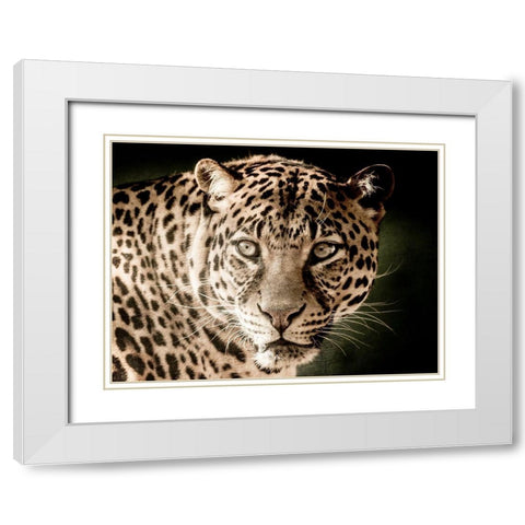 Leo White Modern Wood Framed Art Print with Double Matting by Kimberly, Allen