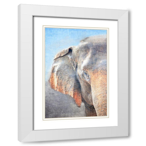 African Elephant A White Modern Wood Framed Art Print with Double Matting by Kimberly, Allen
