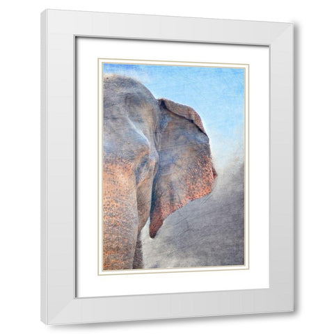 African Elephant B White Modern Wood Framed Art Print with Double Matting by Kimberly, Allen