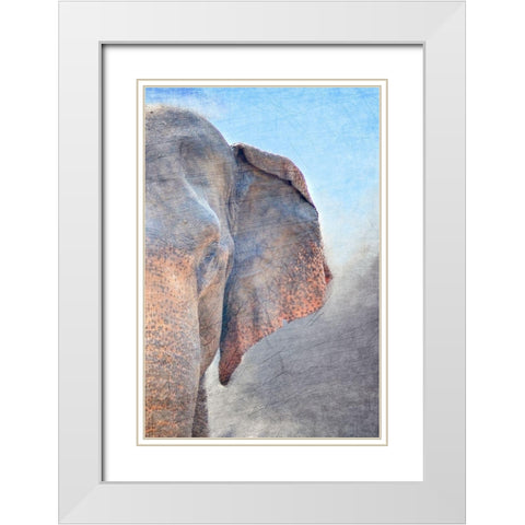 African Elephant B White Modern Wood Framed Art Print with Double Matting by Kimberly, Allen