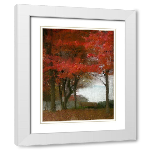 Maple Tree Walk White Modern Wood Framed Art Print with Double Matting by Kimberly, Allen