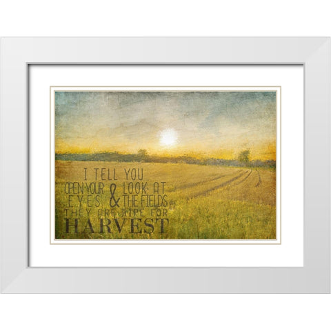 Already to Harvest White Modern Wood Framed Art Print with Double Matting by Kimberly, Allen