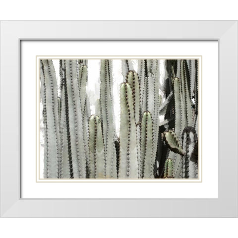Desert Day White Modern Wood Framed Art Print with Double Matting by Allen, Kimberly