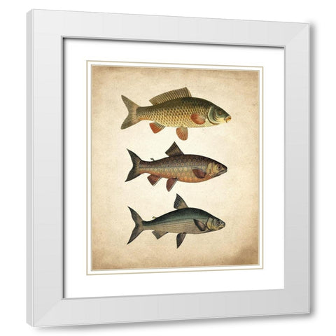 Fish B White Modern Wood Framed Art Print with Double Matting by Kimberly, Allen