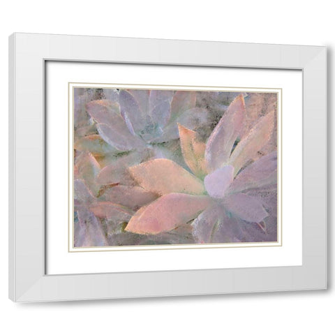 Succulents White Modern Wood Framed Art Print with Double Matting by Allen, Kimberly