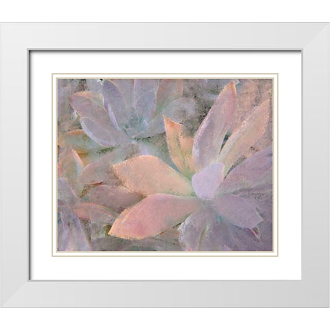 Succulents White Modern Wood Framed Art Print with Double Matting by Allen, Kimberly