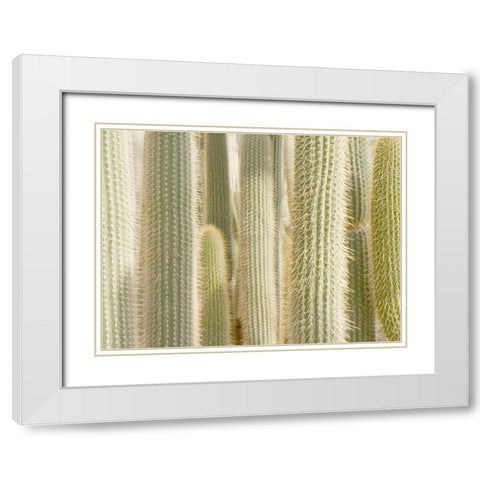 Towards the Sky White Modern Wood Framed Art Print with Double Matting by Allen, Kimberly