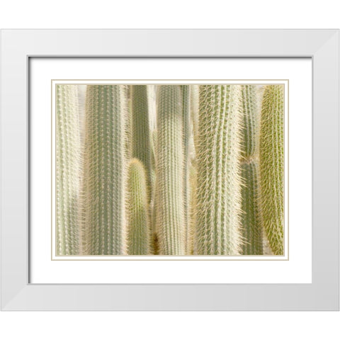 Towards the Sky White Modern Wood Framed Art Print with Double Matting by Allen, Kimberly