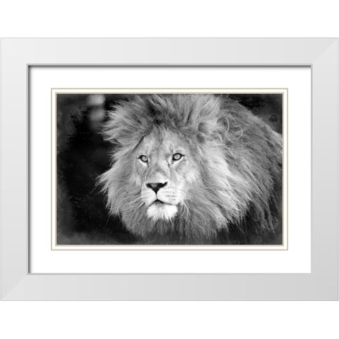 Intent White Modern Wood Framed Art Print with Double Matting by Kimberly, Allen