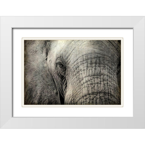 Gazing White Modern Wood Framed Art Print with Double Matting by Kimberly, Allen
