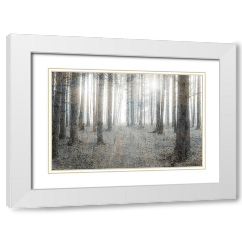 Forest Dream White Modern Wood Framed Art Print with Double Matting by Kimberly, Allen
