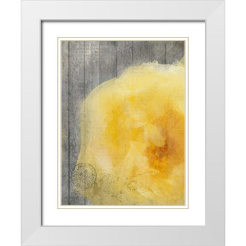 Yellow Bloom White Modern Wood Framed Art Print with Double Matting by Allen, Kimberly