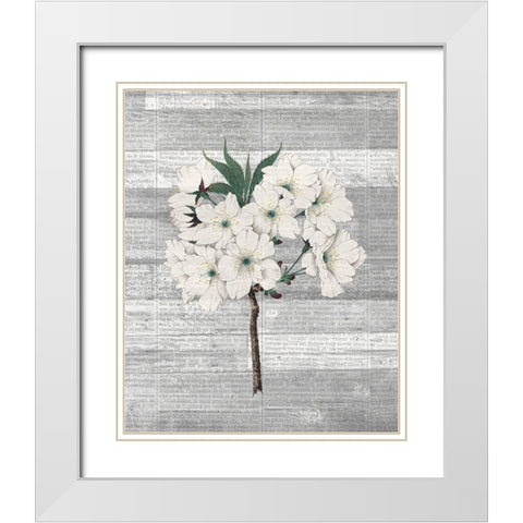 Cherry Blossom 2 White Modern Wood Framed Art Print with Double Matting by Kimberly, Allen