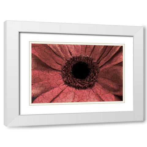 Bloom Center White Modern Wood Framed Art Print with Double Matting by Kimberly, Allen