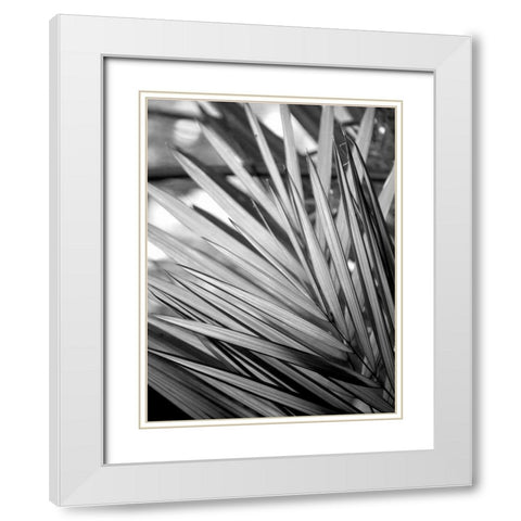 Metal BW Plant 2 White Modern Wood Framed Art Print with Double Matting by Allen, Kimberly