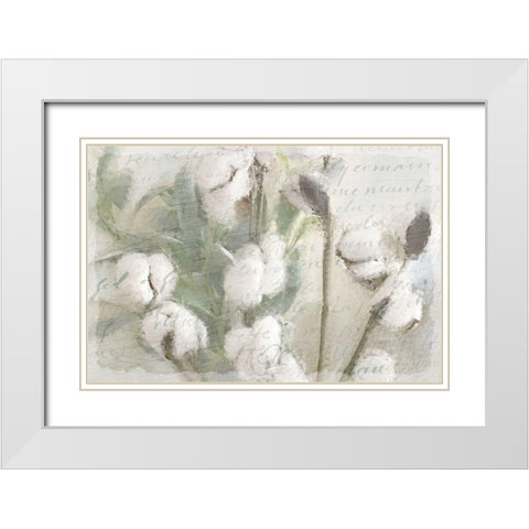 Cotton A White Modern Wood Framed Art Print with Double Matting by Kimberly, Allen