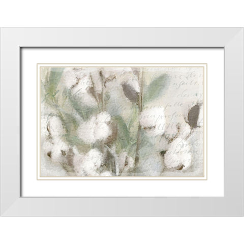 Cotton B White Modern Wood Framed Art Print with Double Matting by Kimberly, Allen