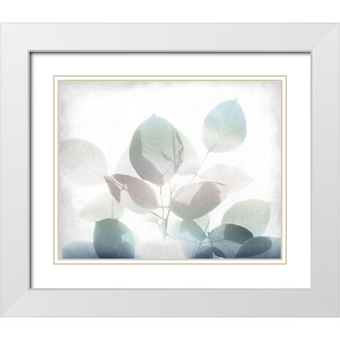 Antiqued Leaves 2 v2 White Modern Wood Framed Art Print with Double Matting by Kimberly, Allen