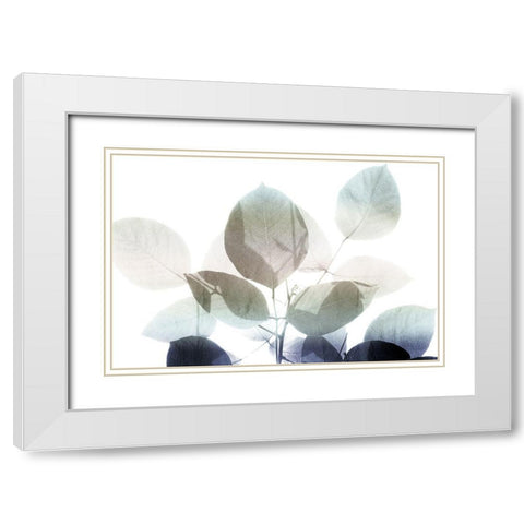 Midnight Leaves 1 v2 White Modern Wood Framed Art Print with Double Matting by Kimberly, Allen