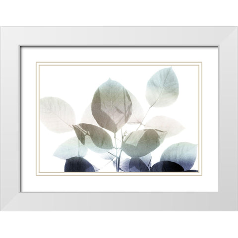 Midnight Leaves 1 v2 White Modern Wood Framed Art Print with Double Matting by Kimberly, Allen