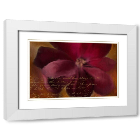 Blooming Spice White Modern Wood Framed Art Print with Double Matting by Kimberly, Allen
