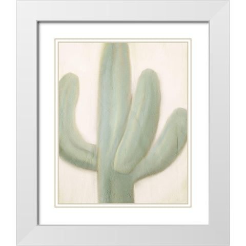 Sage Cactus 1 White Modern Wood Framed Art Print with Double Matting by Kimberly, Allen