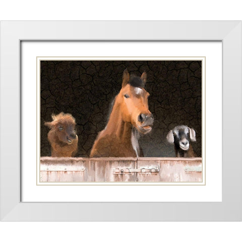 Smiles from the Barn White Modern Wood Framed Art Print with Double Matting by Kimberly, Allen