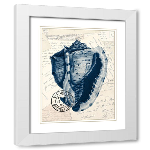 Shell Post 2 White Modern Wood Framed Art Print with Double Matting by Kimberly, Allen