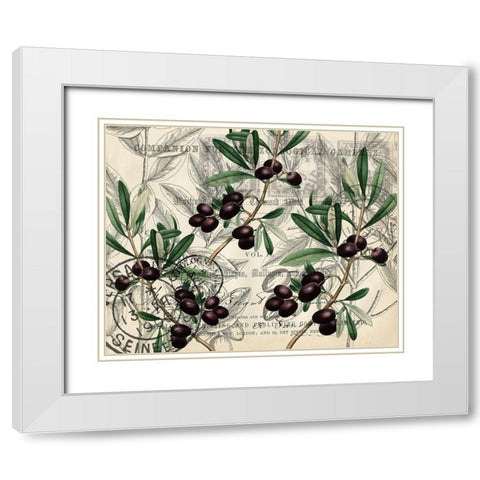 Olive Branch 1 White Modern Wood Framed Art Print with Double Matting by Kimberly, Allen
