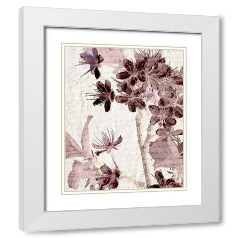 Cherry Blossom Plum 2 White Modern Wood Framed Art Print with Double Matting by Kimberly, Allen