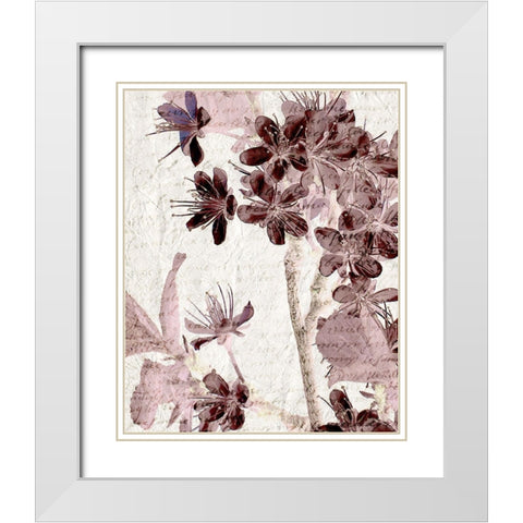Cherry Blossom Plum 2 White Modern Wood Framed Art Print with Double Matting by Kimberly, Allen