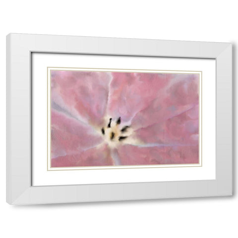 Tulip Center White Modern Wood Framed Art Print with Double Matting by Kimberly, Allen