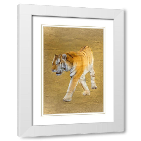 Tiger Gold v2 White Modern Wood Framed Art Print with Double Matting by Kimberly, Allen