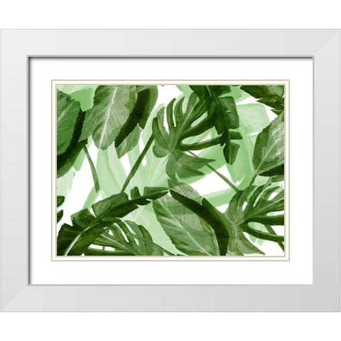 Tropic Green 3 White Modern Wood Framed Art Print with Double Matting by Kimberly, Allen